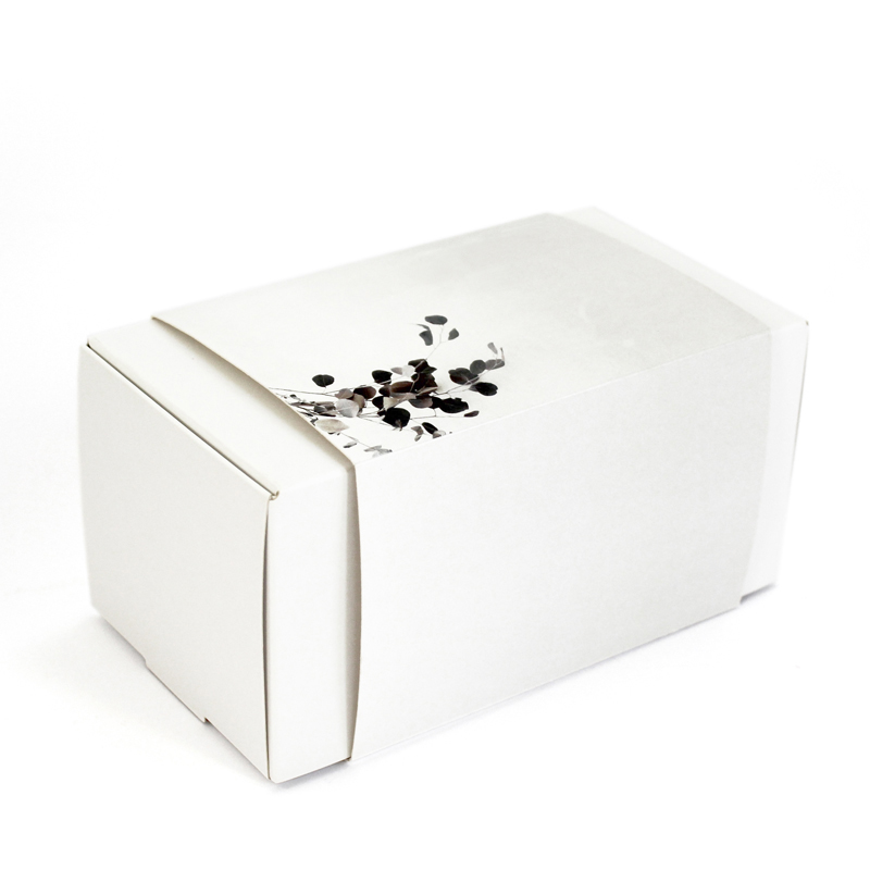 Brintel caja estuche con funda para laboratorios dentales diseño - diseño gráfico - artes gráficas - imprenta - etiquetas - bolsas - packaging - display - imagen - plv